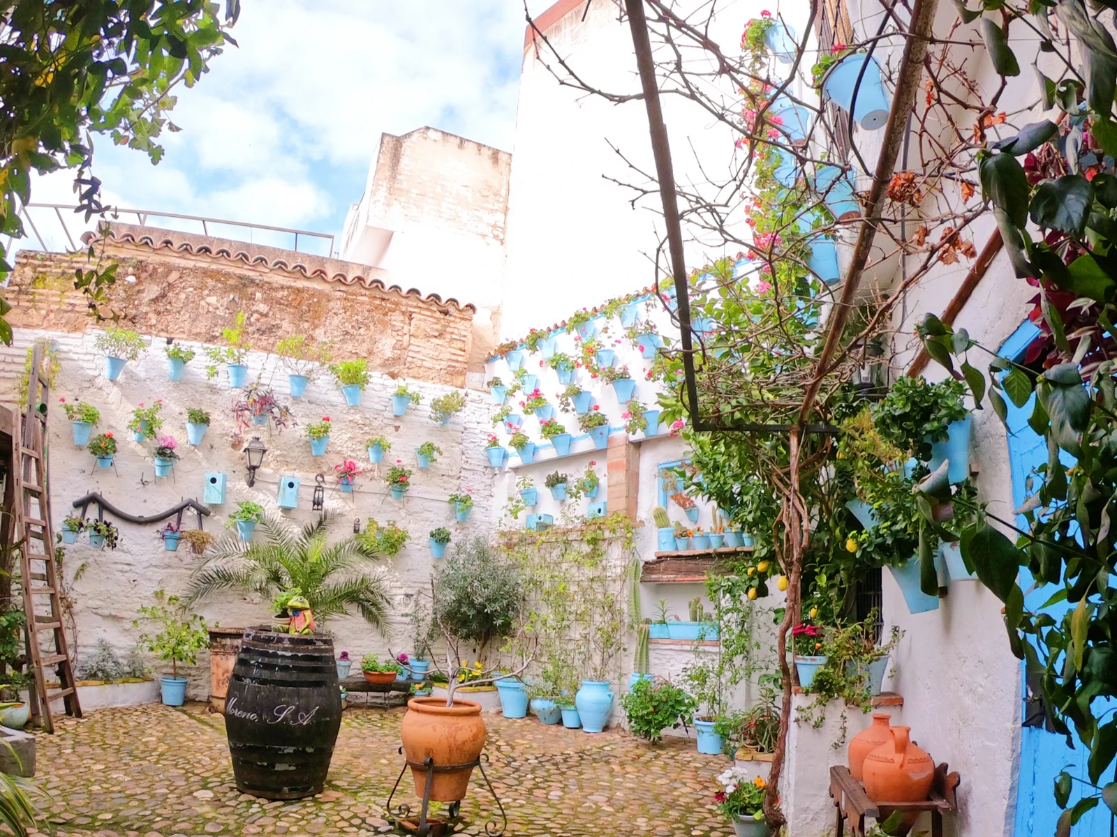 スペインの花の都 コルドバ 街並み編 Kasumi713が投稿したフォトブック Lemon8