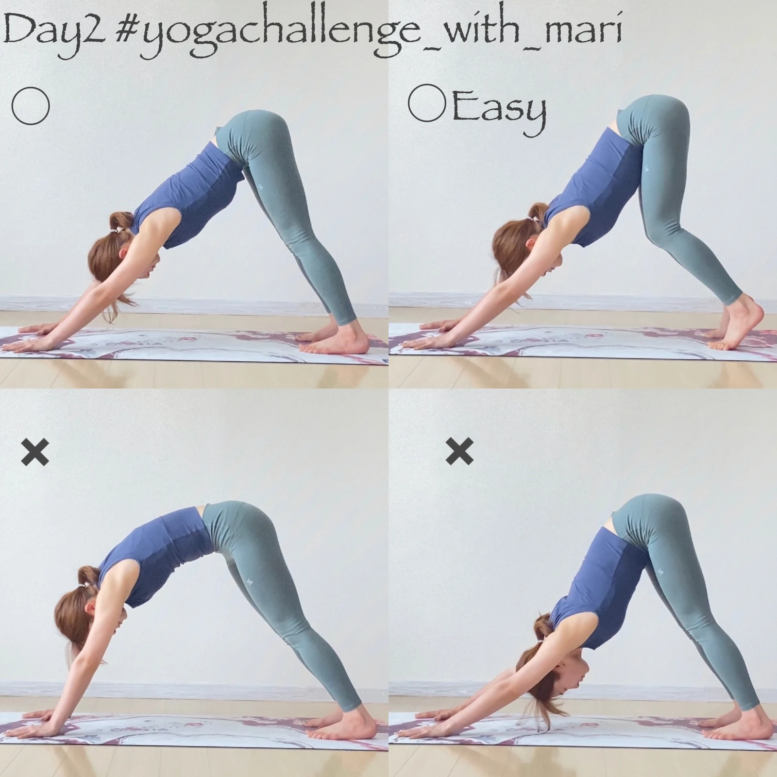 ダウンドッグ Yoga Mariが投稿したフォトブック Lemon8