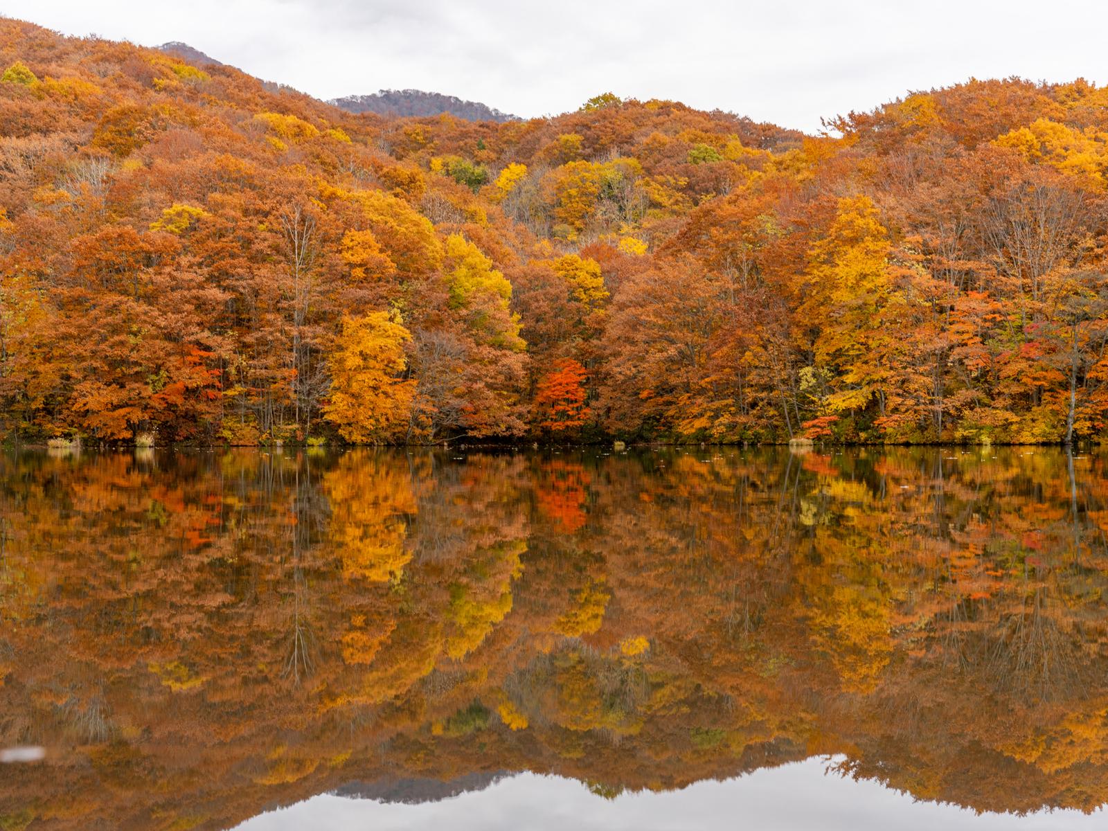 鏡みたい 福島のリフレクションする池が綺麗でした Kazu Photosが投稿したフォトブック Lemon8