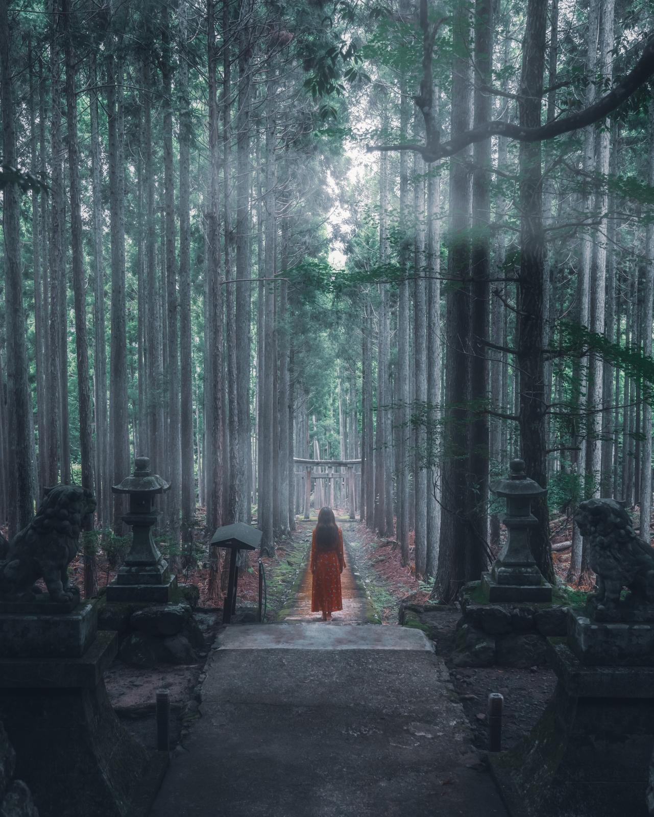 京都 森の中の神秘的な神社 Kyoko1903が投稿したフォトブック Lemon8
