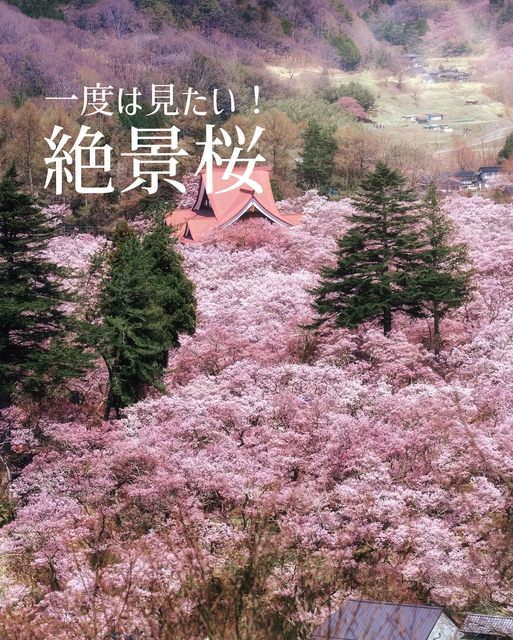 長野県の伊那市。伊那市は、桜の木が多くとても美しい町でした。想像以上の美しい景色を見られて、大満足でした🥰今回は得意の朝一で行けず、人が多く写真撮れなかった場所もあるので、またゆっくり訪れたい場所です✨    1. Rokudo no Tsutsumi / 六道の堤  2. Takato / 高遠  4. Rokudo no Tsutsumi / 六道の堤     #デートプラン   #桜絶景     #長野絶景  　 #長野旅行     #桜スポット  　 #穴場スポット     #トラベルインフルエンサー     #高遠  　 #女子旅     #春の絶景  　 #ドライブ