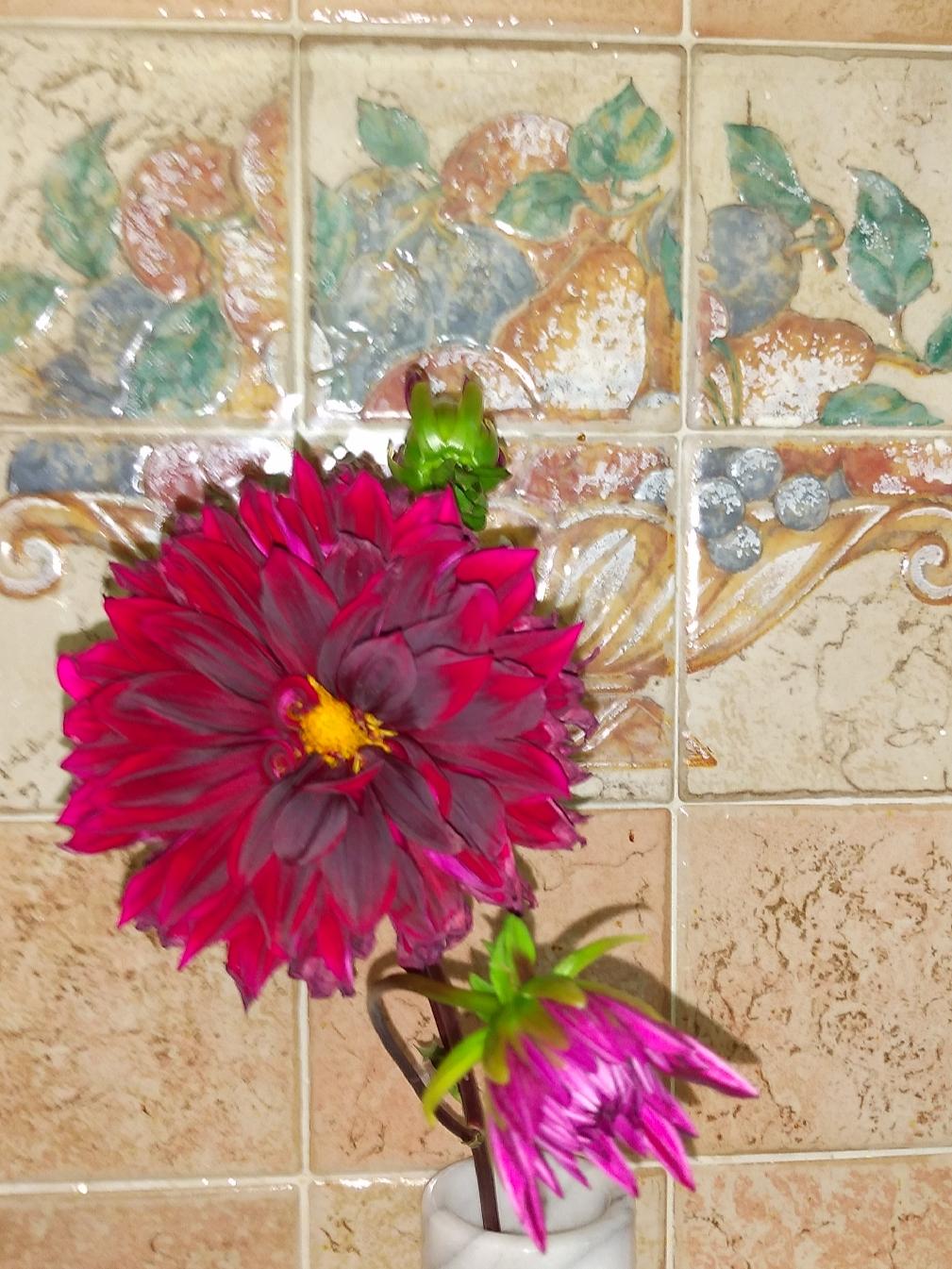 切り花ダリア 井上尚子が投稿したフォトブック Lemon8