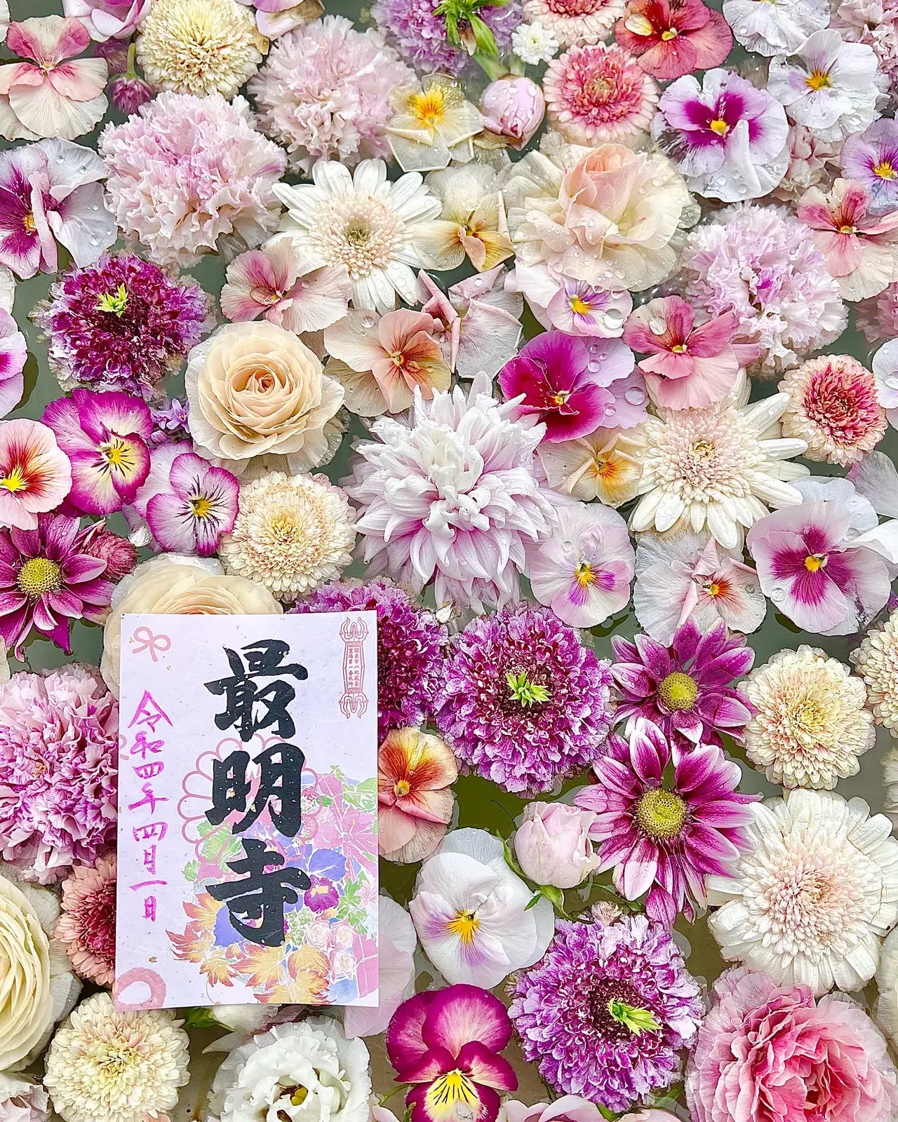 埼玉で有名な花手水スポット 西川越の最明寺 Tabinchu Youが投稿したフォトブック Lemon8