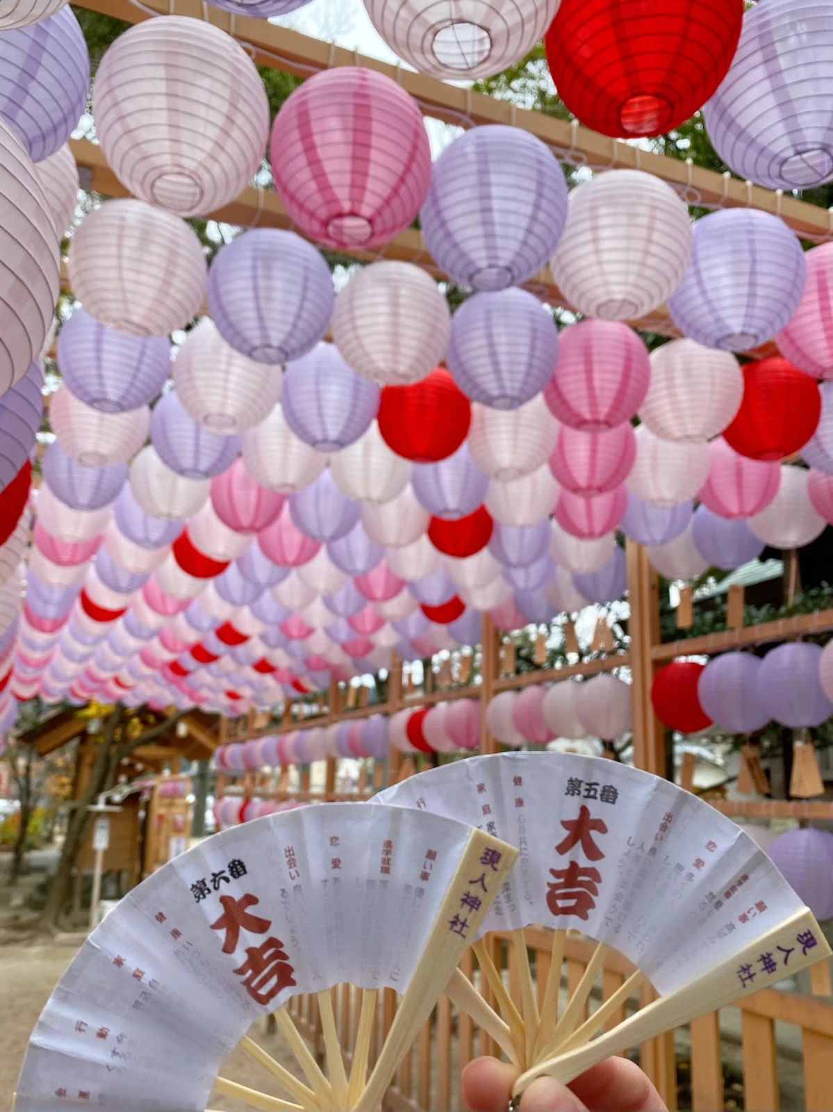 福岡 現人神社 紗暮sakuraが投稿したフォトブック Lemon8