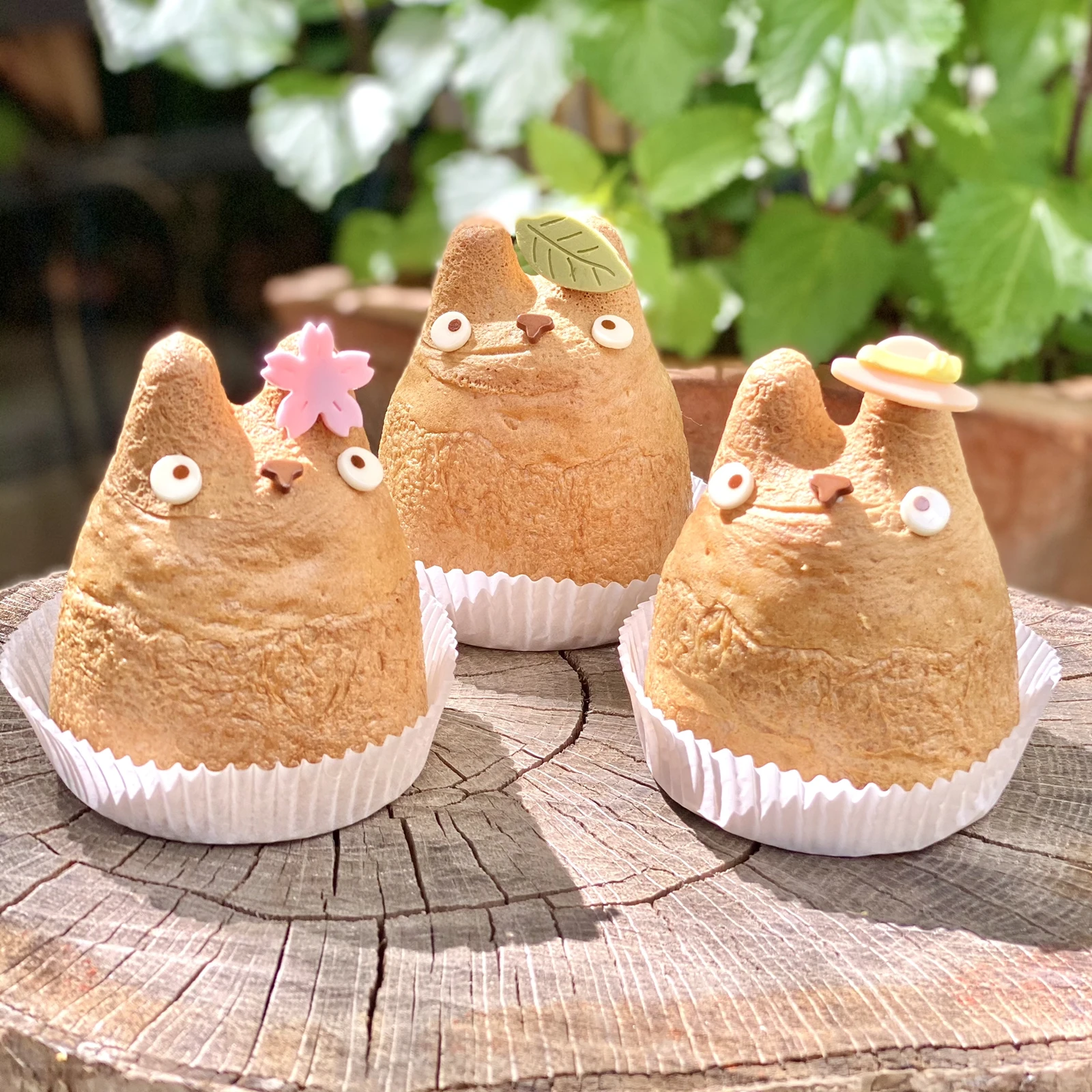 ジブリファン必見 超絶可愛いトトロシュークリーム Saaa 1030が投稿したフォトブック Lemon8