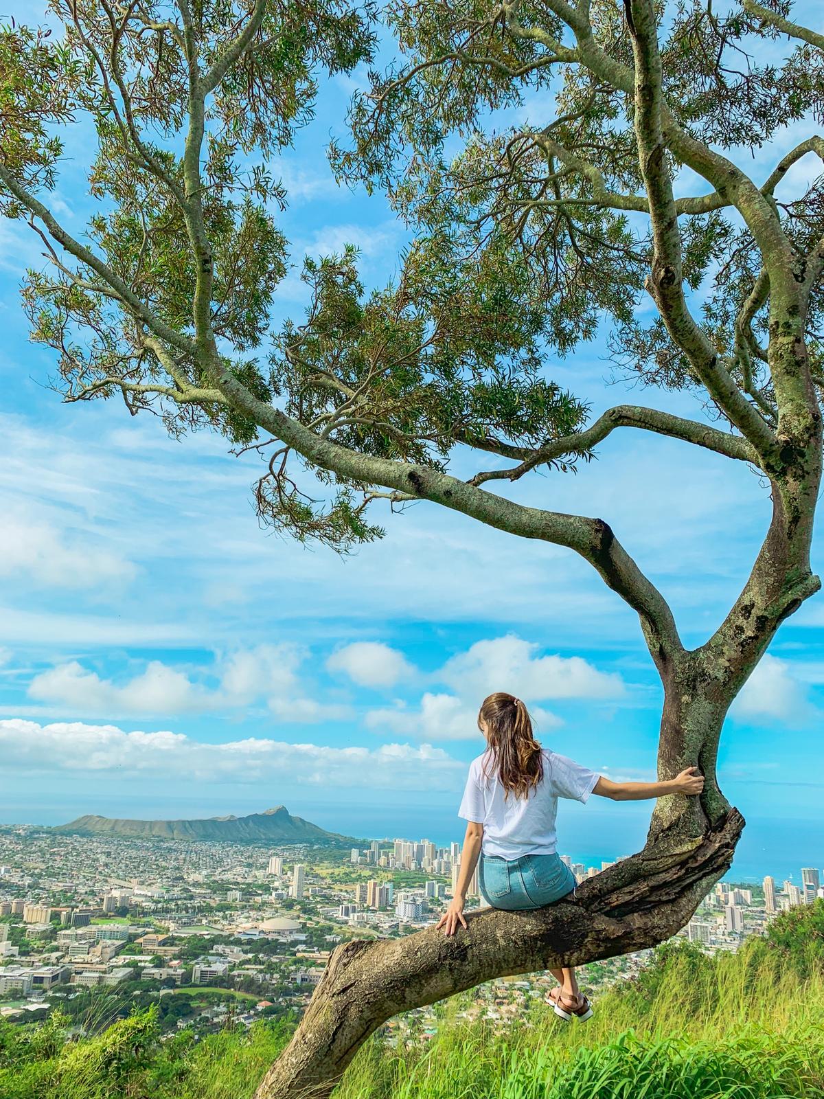 絶景すぎる 本当は秘密にしたいハワイの絶景スポット 川越コウが投稿したフォトブック Lemon8