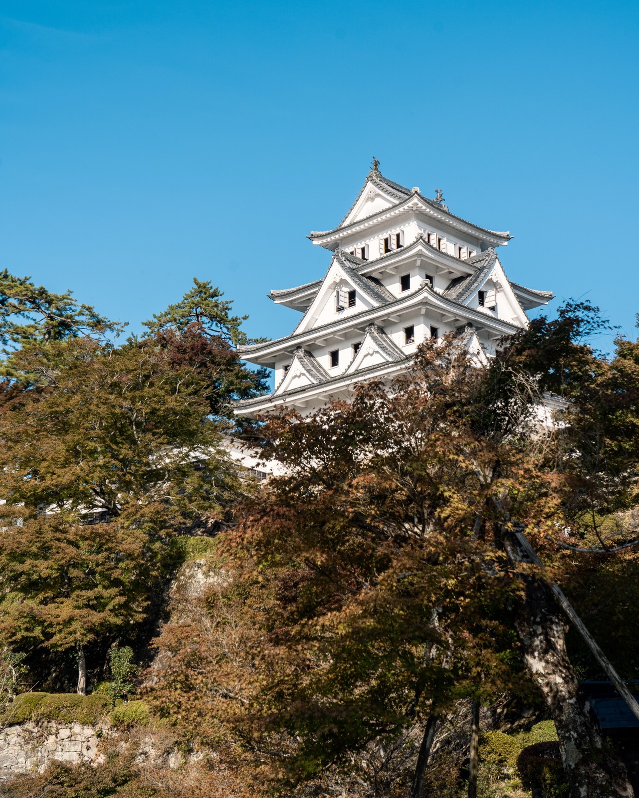 Lemon8 Story 郡上八幡 観光 Lemon8 Story 郡上八幡 観光