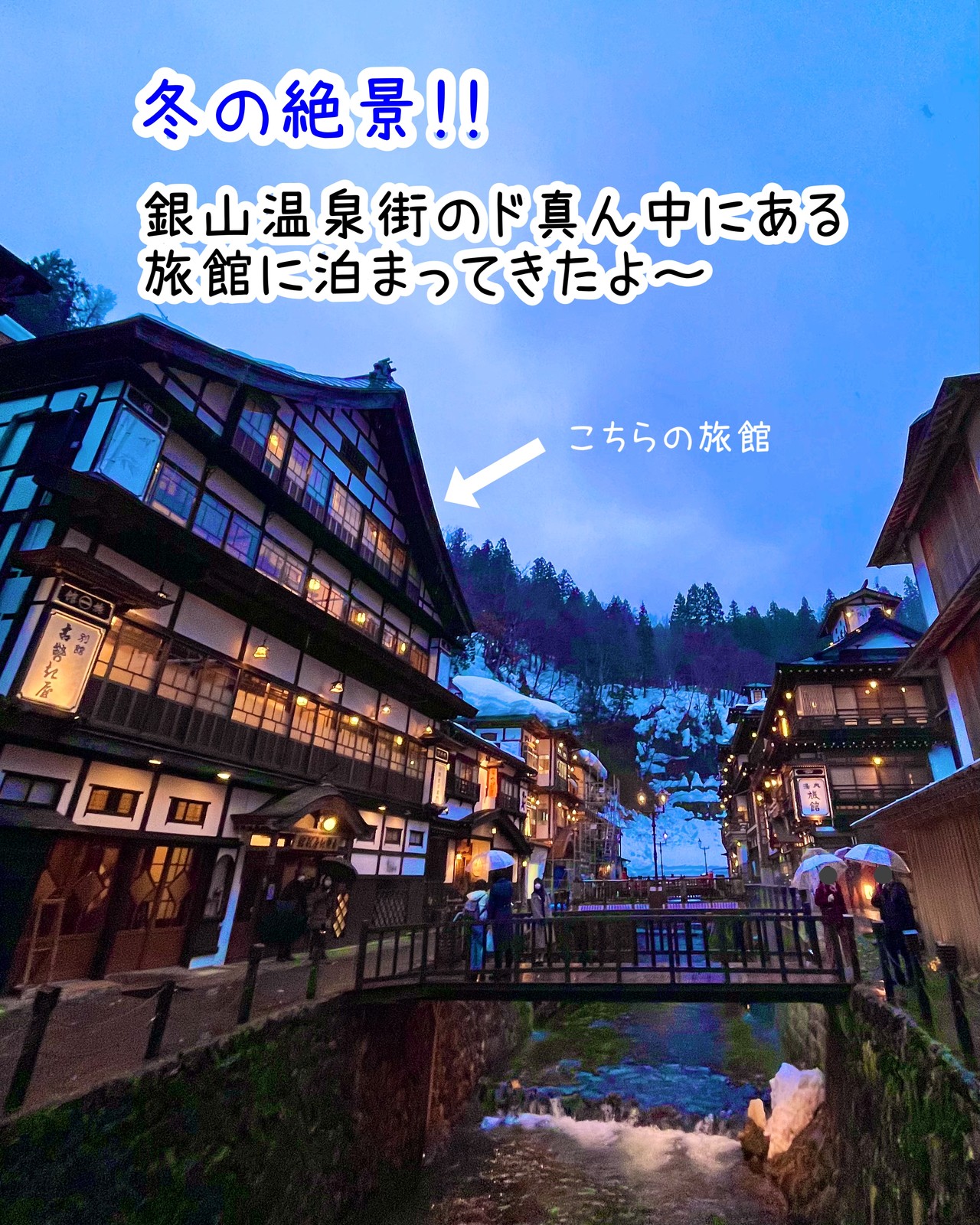 Lemon8 Story かめのや別館