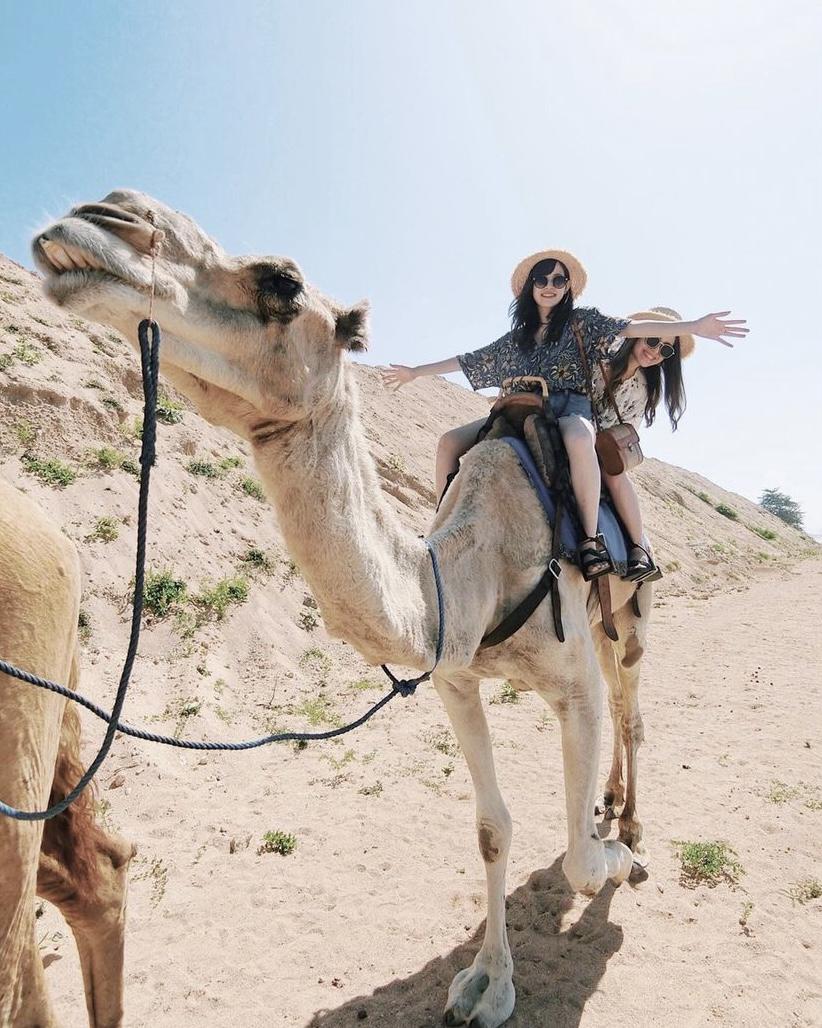 バリ プライベートビーチでラクダ乗り体験 Sumi 0817が投稿したフォトブック Sharee