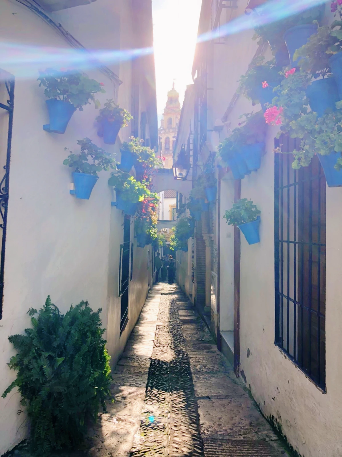 スペインの花の都 コルドバ 街並み編 Kasumi713が投稿したフォトブック Lemon8