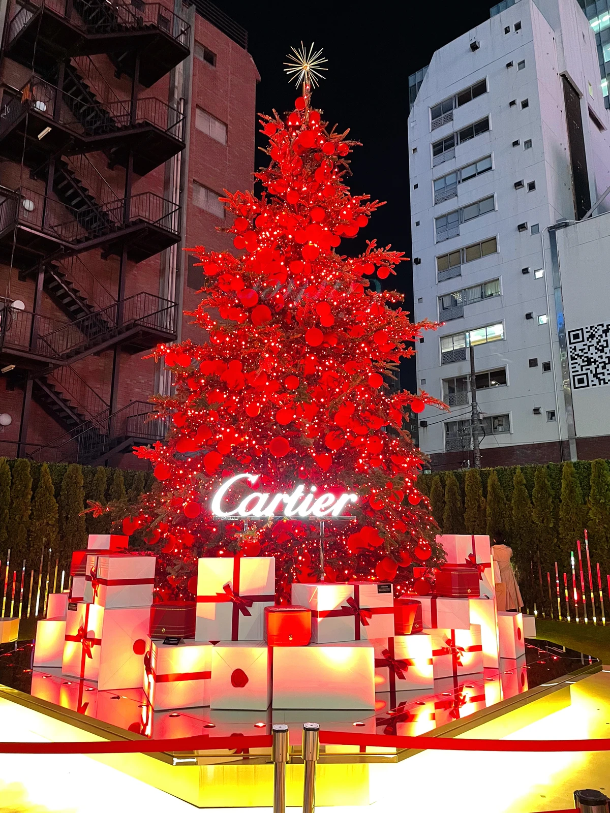 表参道 期間限定のカルティエクリスマスツリー ほわいと が投稿したフォトブック Lemon8