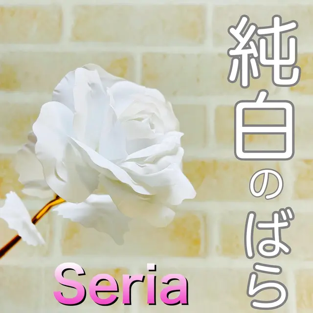 100均 造花 花瓶 Lemon8