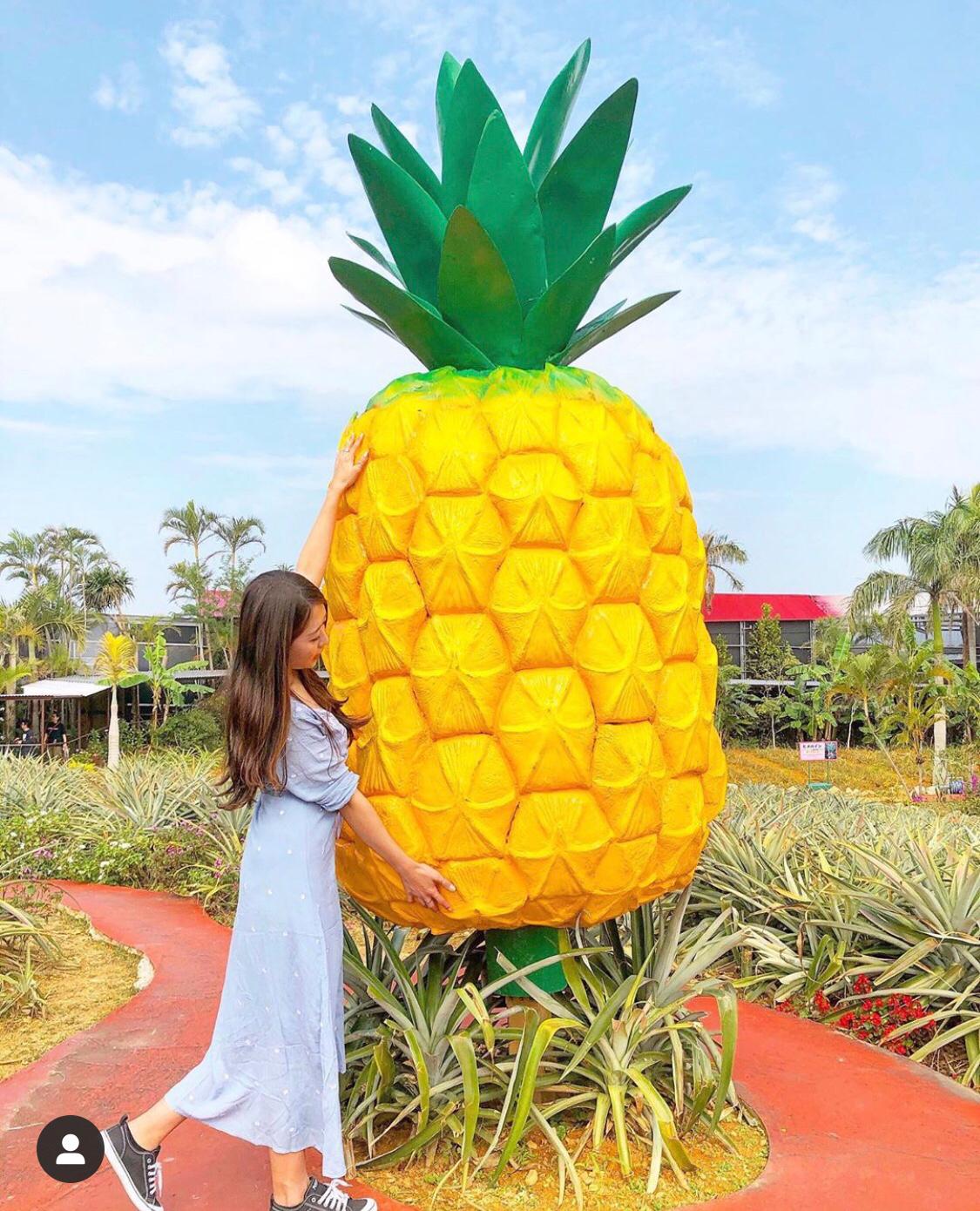 沖縄 雨でも楽しめるパイナップルの楽園 ナゴパイナップルパーク 74 Mariが投稿した記事 Lemon8