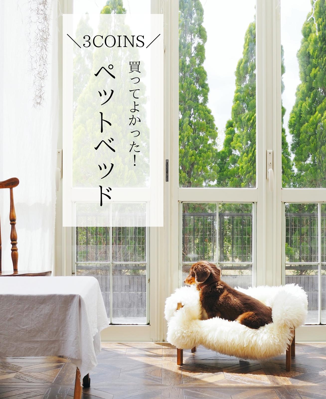 アレンジ自在 3coins ペットベッド Asasaが投稿したフォトブック Sharee
