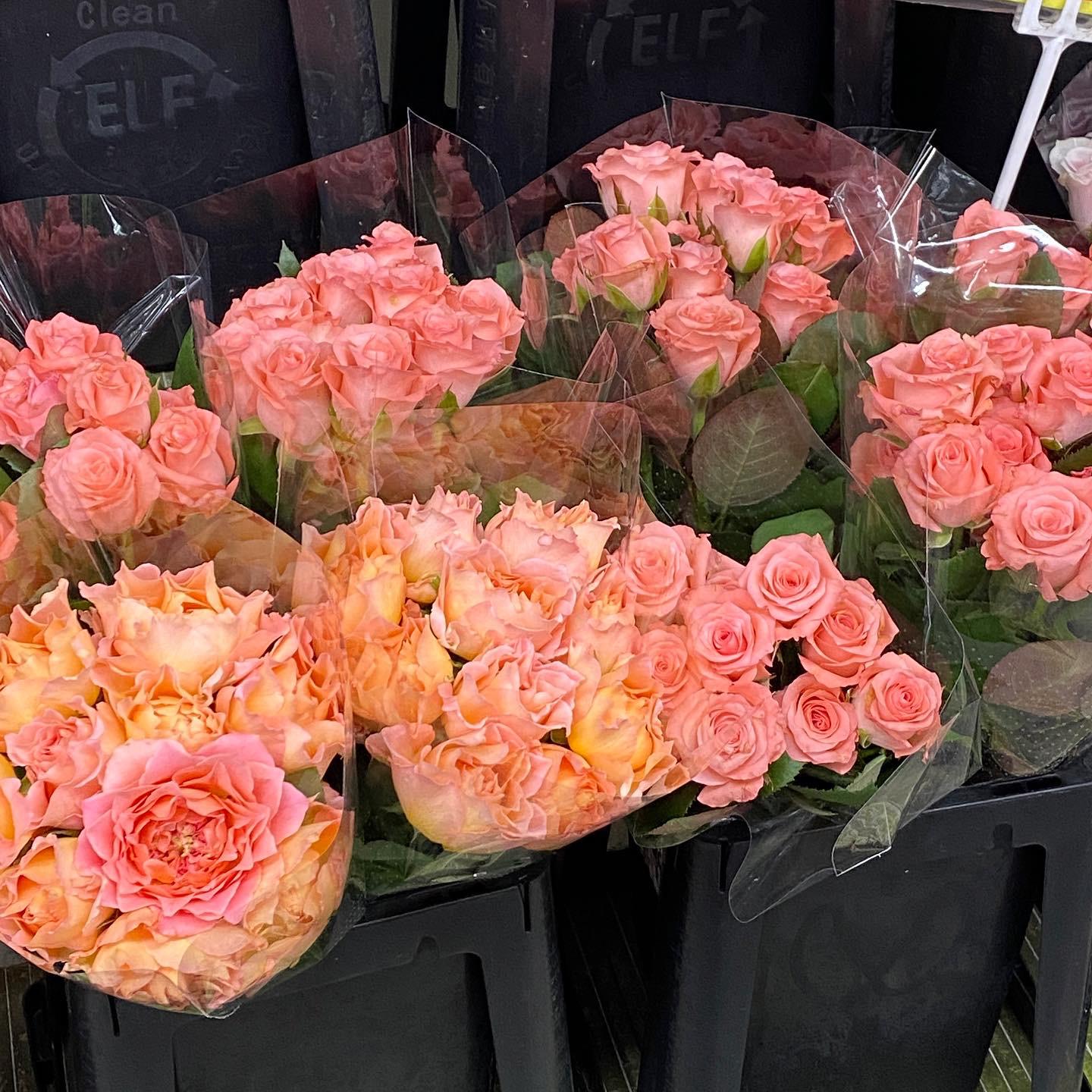 大阪 安くて種類が豊富なお花屋さん 大阪総合園芸センター Mai 7112が投稿したフォトブック Lemon8