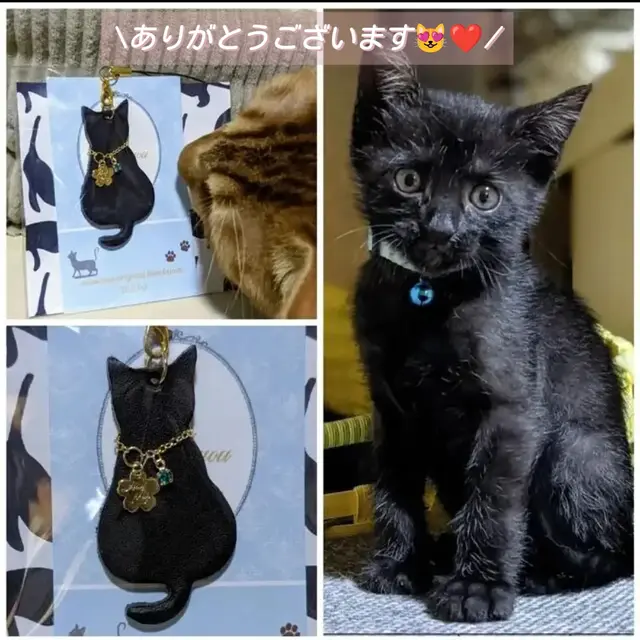 Toan 可愛い 黒猫ฅ^•ω•^ฅランジェリー
