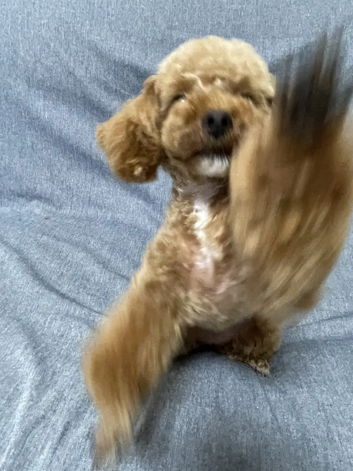 9mvpaoyymyirgm 9mvpaoyymyirgm