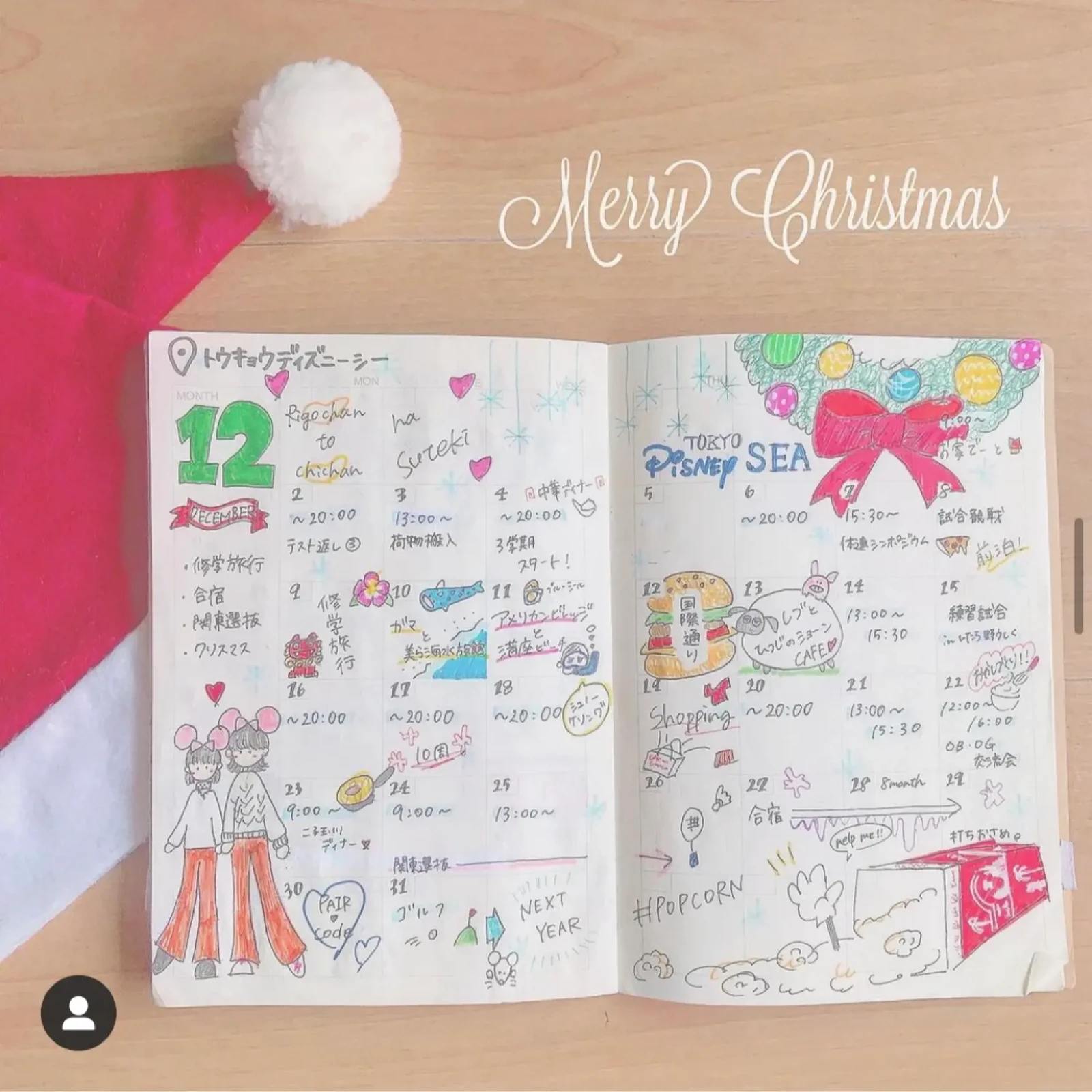 12月のスケジュール帳 クリスマスディズニー 野村理紗が投稿したフォトブック Lemon8