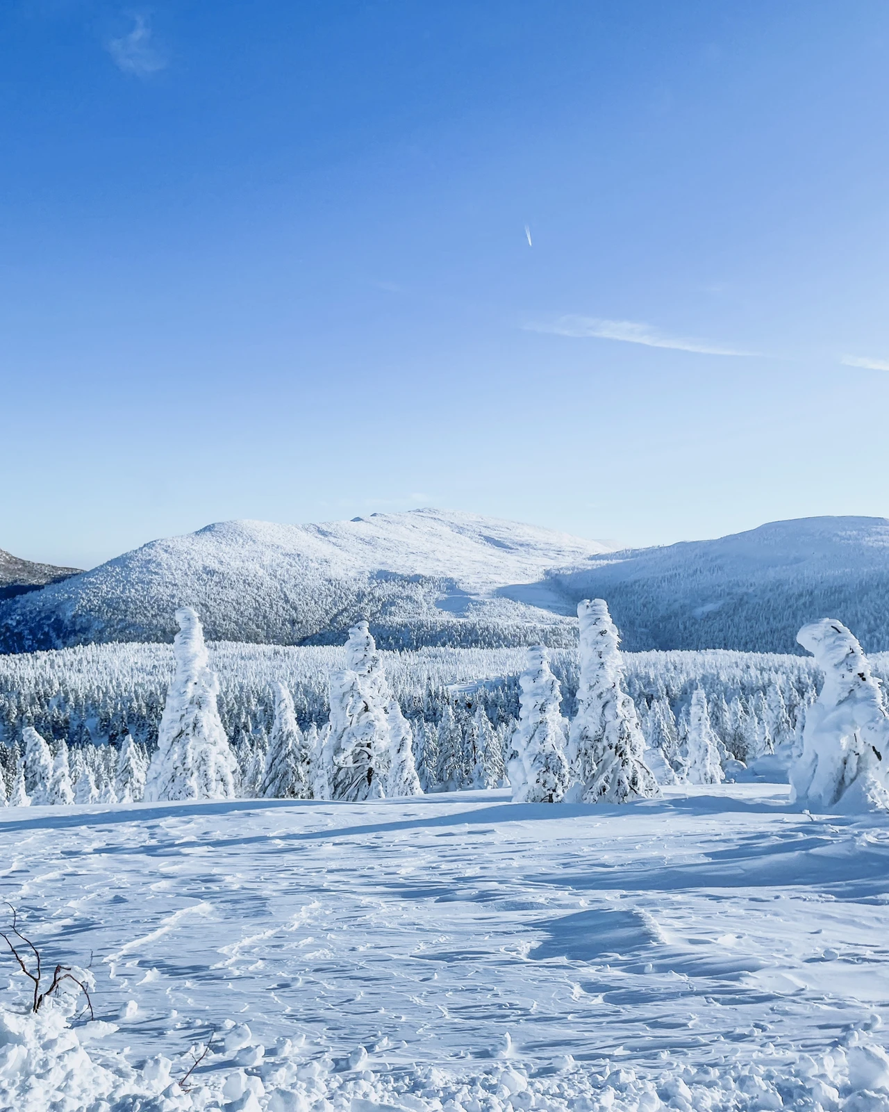 山形県 スノーモンスター 蔵王樹氷 休日トラベラー Taroが投稿したフォトブック Lemon8