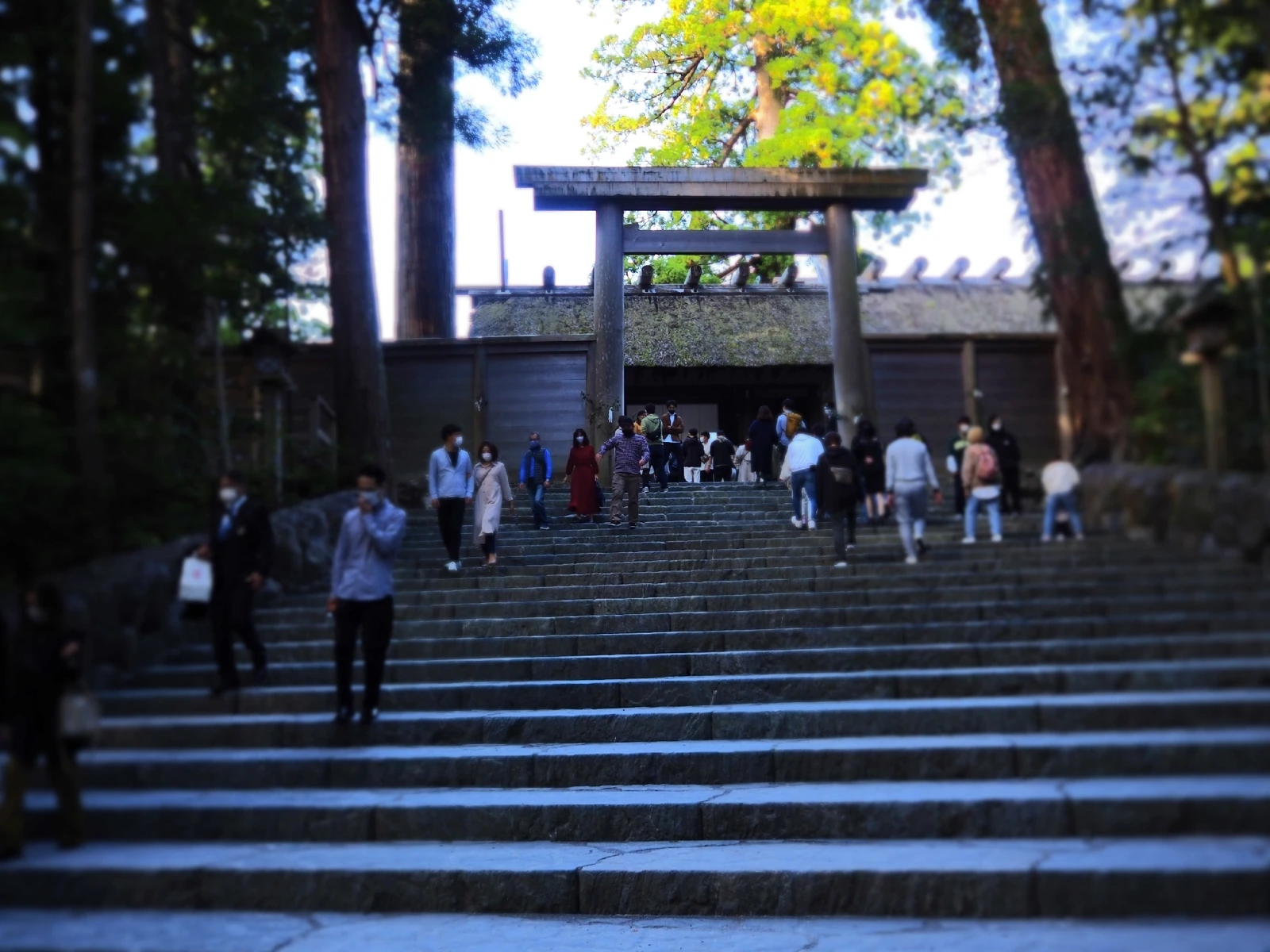 三重県 高野山 熊野三山 伊勢神宮行って来た さすがに疲れた 笑 石川太郎が投稿したフォトブック Lemon8