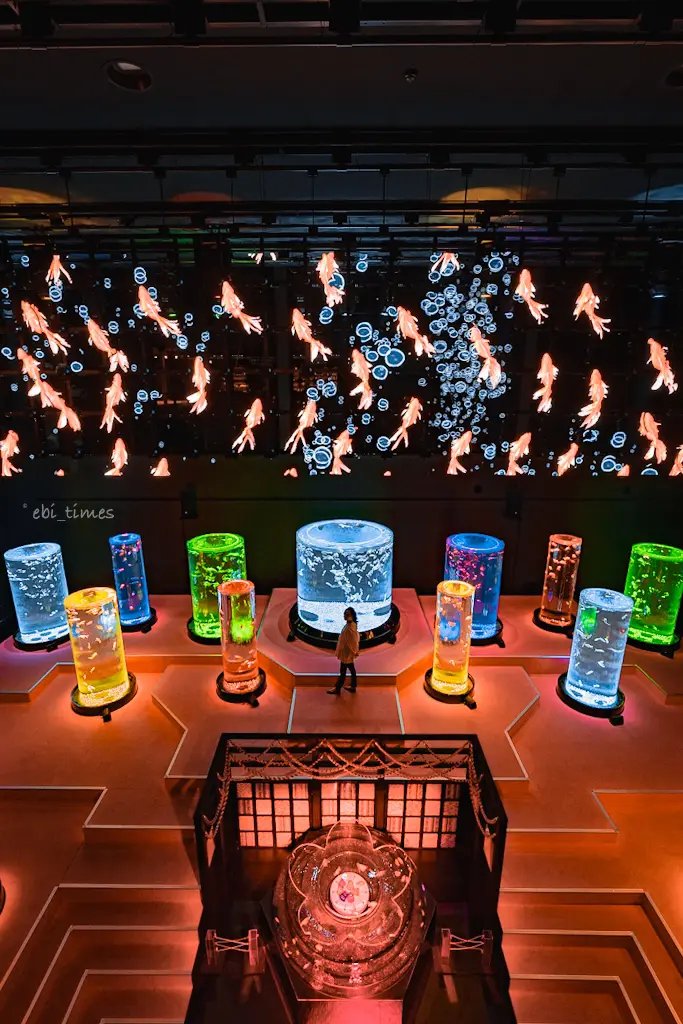東京 アートアクアリウム Ebi Timesが投稿したフォトブック Lemon8