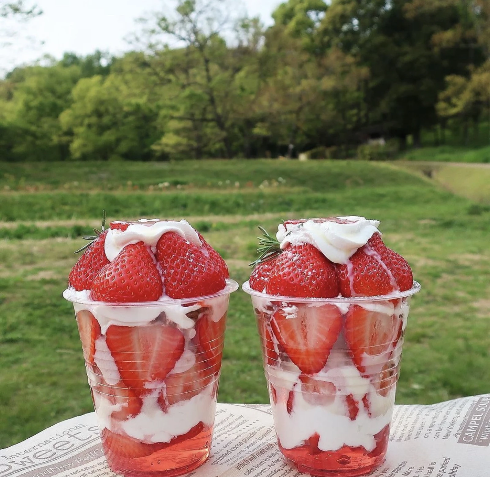 明日香村 あすかルビーのお持ち帰りパフェ カフェことだま デパ地下のまおさんが投稿したフォトブック Lemon8