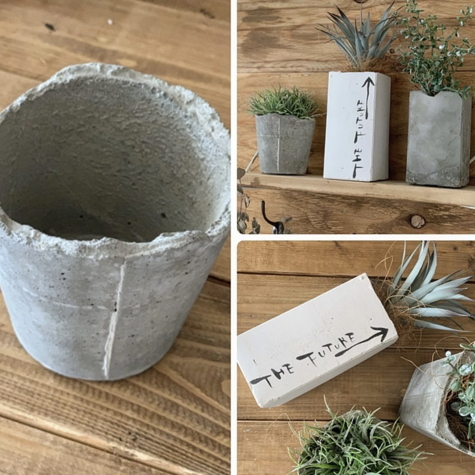 セメント鉢作り方 Eririichiが投稿したフォトブック Lemon8