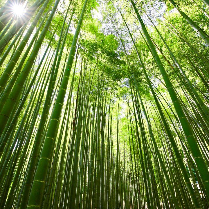 二人の愛が温かい 冬デート で行きたい 鎌倉 江ノ島 のデートスポット12選 Retripが投稿した記事 Lemon8