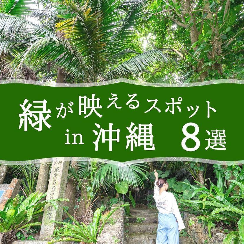 緑が映える！沖縄本島おすすめスポット8選💚  トラベルスタンダード 