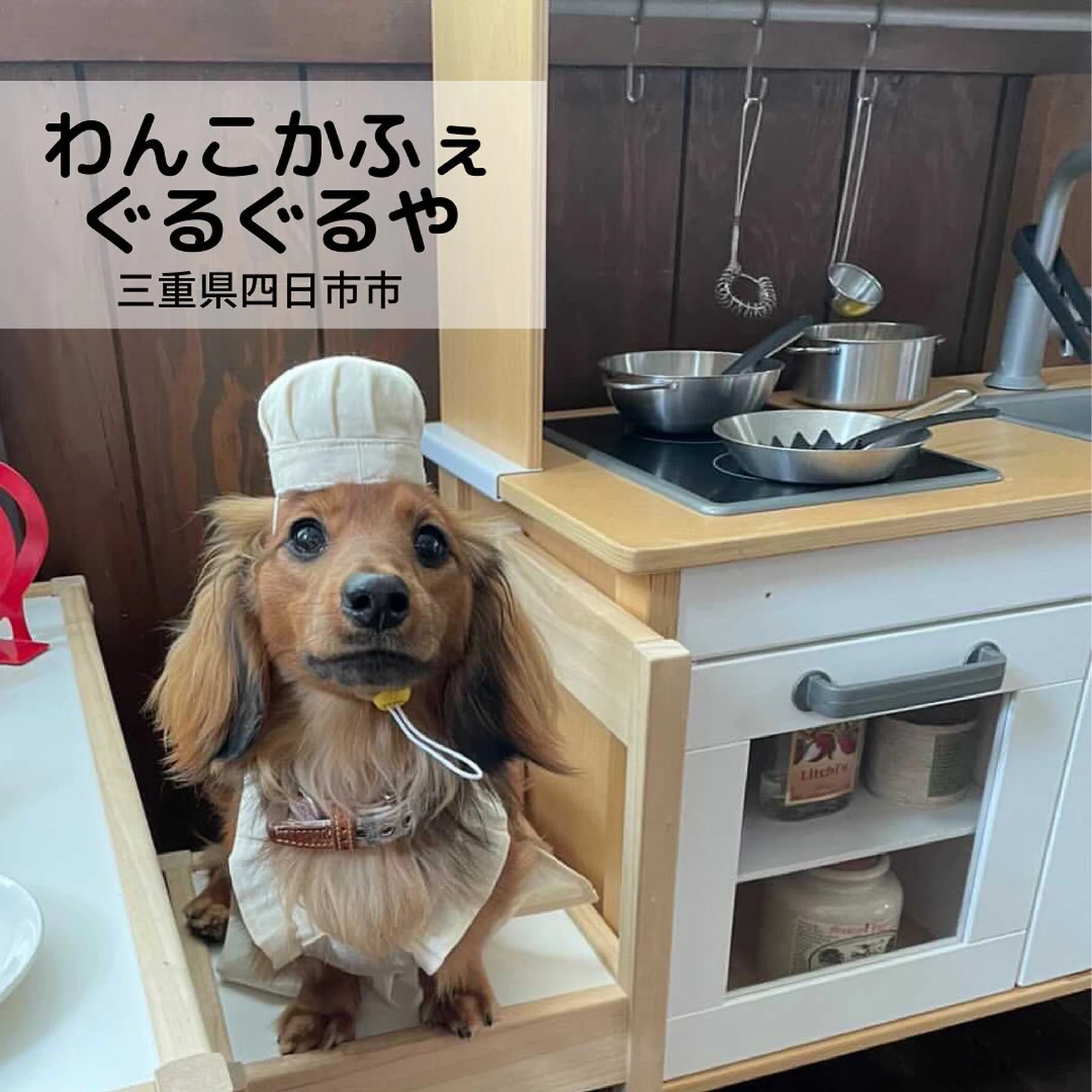 ドッグカフェ 三重県四日市市 東海ペット わんことお出かけが投稿したフォトブック Lemon8 ドッグカフェ 三重県四日市市 東海ペット わんことお出かけが投稿したフォトブック Lemon8