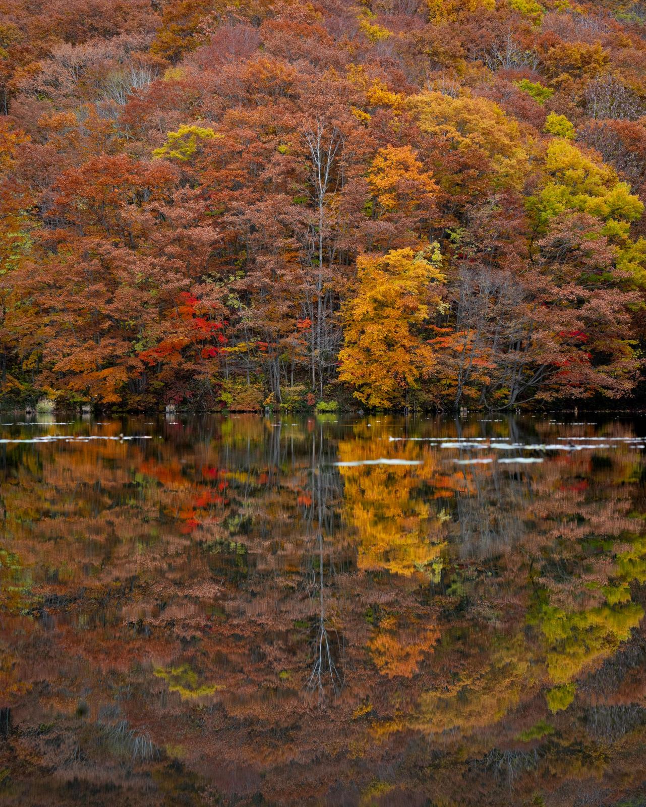 鏡みたい 福島のリフレクションする池が綺麗でした Kazu Photosが投稿したフォトブック Lemon8