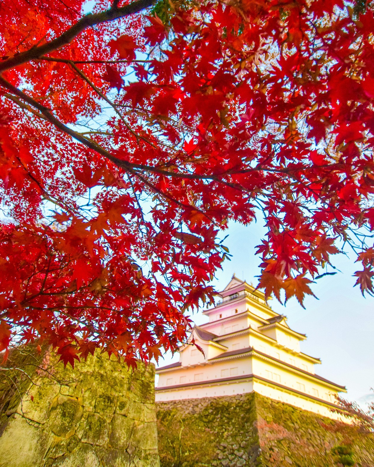 Lemon8 Story 会津若松 Lemon8 Story 会津若松