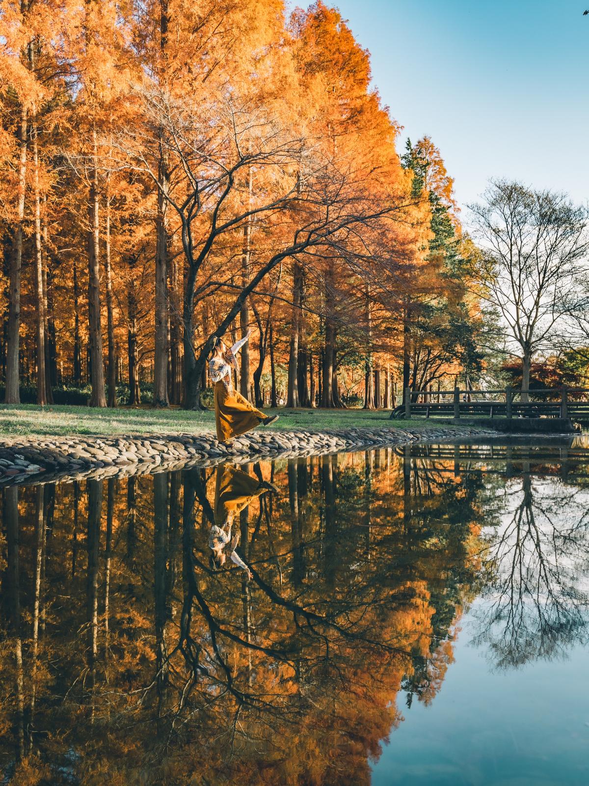 東京】水元公園【写真の撮り方】  Mizukimemorypicが投稿したフォト 