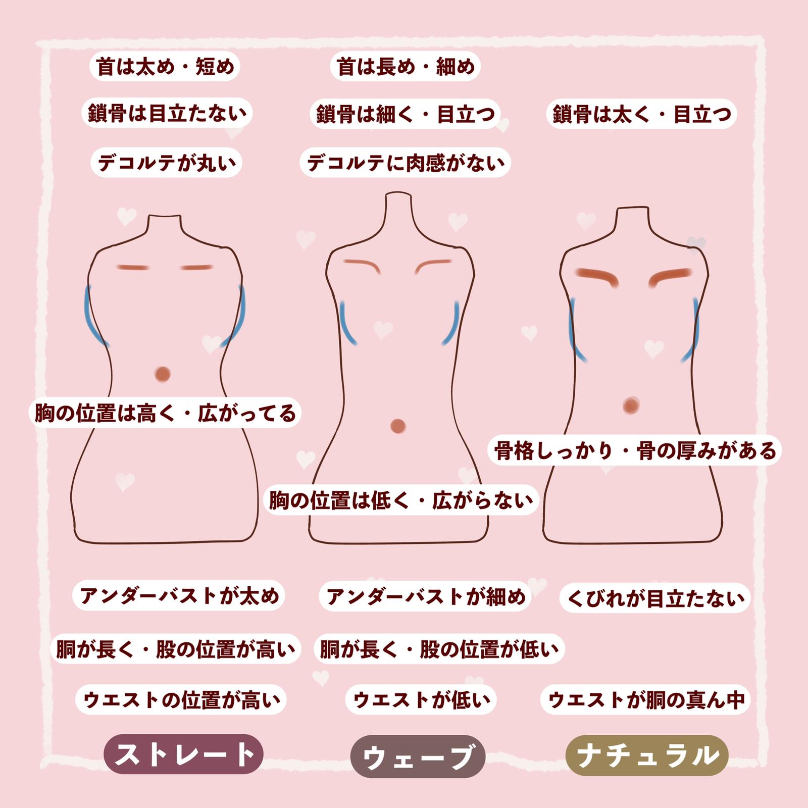 Lemon8 Story 骨格別 痩せ方