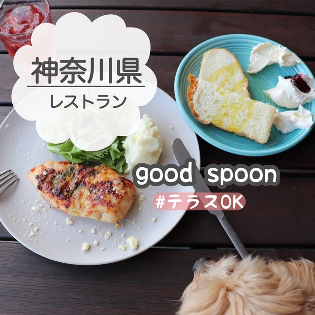 Nameに関する最新投稿と人気の投稿 Lemon8