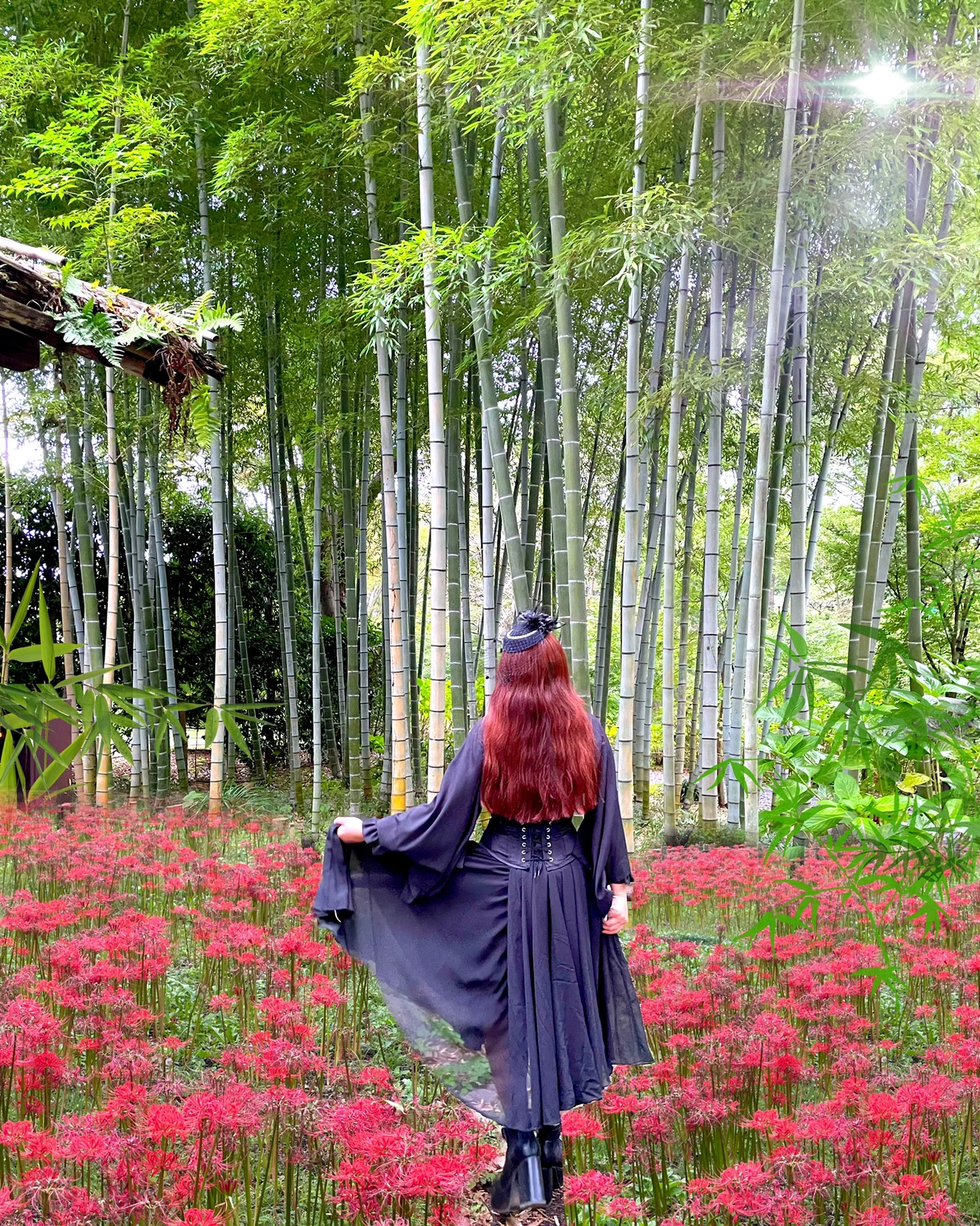 都内で彼岸花 曼珠沙華 の花畑といえば Mica Gram1970が投稿したフォトブック Lemon8