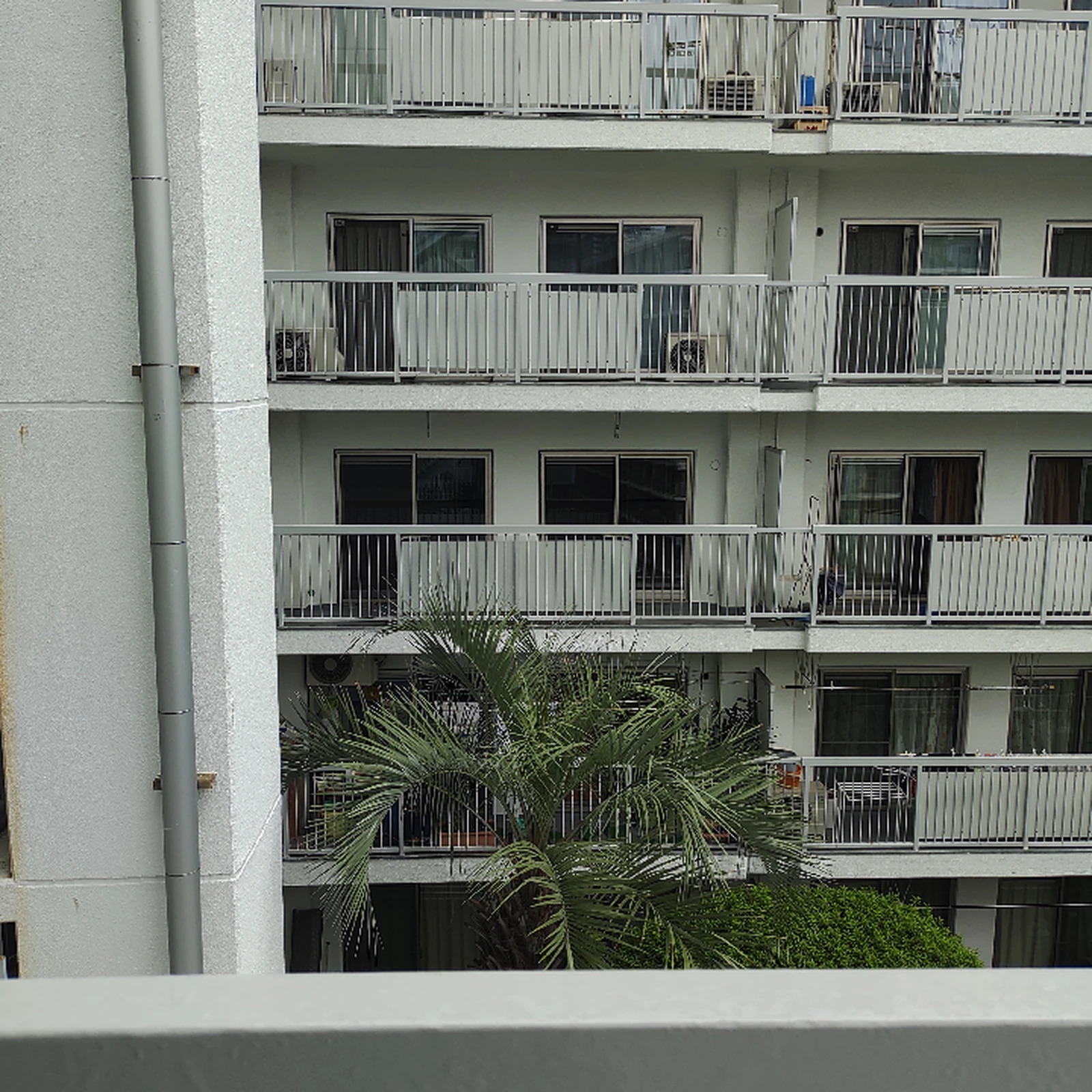 イズミヤ今福 Lemon8