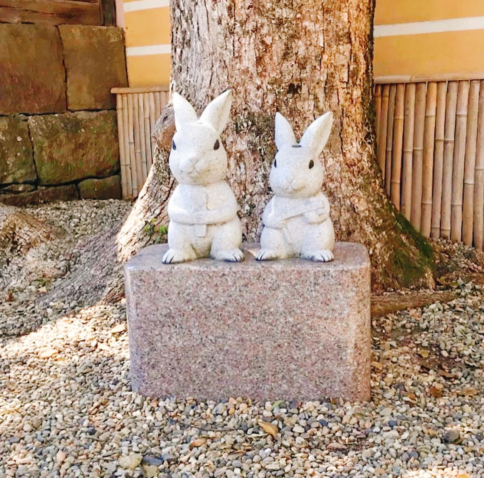 島根 うさぎがいっぱい 縁結び 出雲大社 Yukimimiが投稿したフォトブック Lemon8