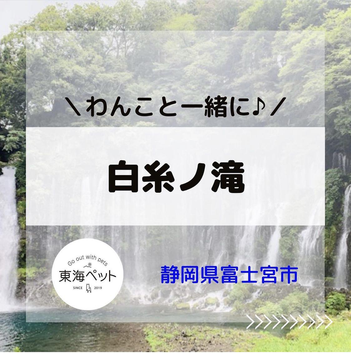 ペットと幻想的な世界へ 静岡県富士宮市 東海ペット わんことお出かけが投稿したフォトブック Lemon8