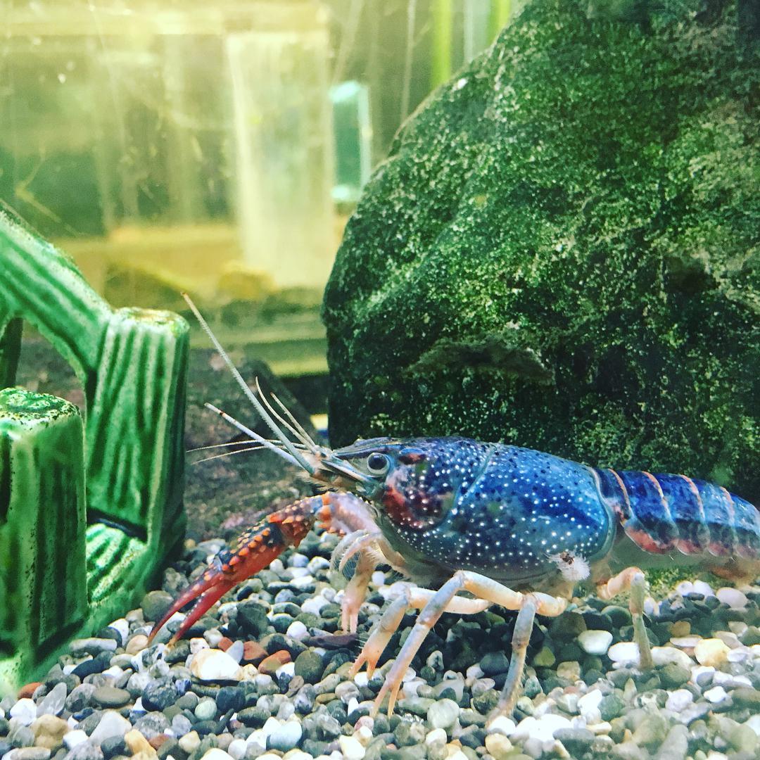 降水量は日本有数 宮崎のカップルが抑えておくべき雨デートスポット7選 Retripが投稿した記事 Lemon8