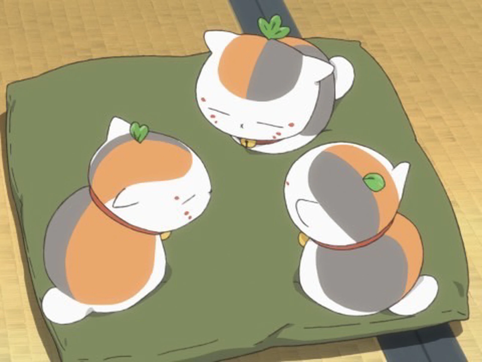 ぜんぶ にゃんこ先生の写真やアイコン もはいています よりむが投稿したフォトブック Lemon8