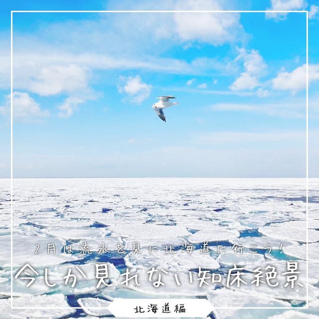 【2月に行った絶景スポット】冬は北海道の知床で流氷を見にいこう！の画像 (1枚目)
