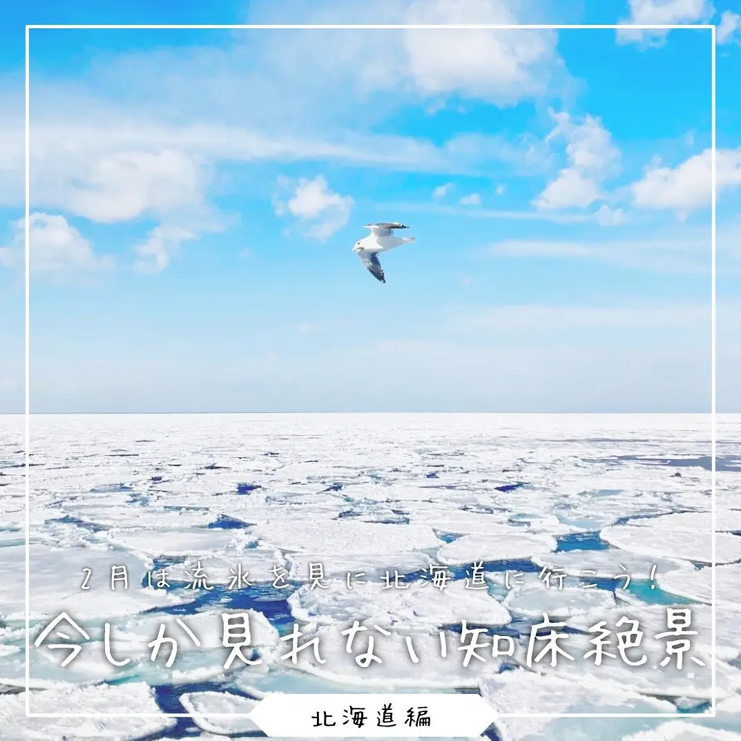 【2月に行った絶景スポット】冬は北海道の知床で流氷を見にいこう！の画像