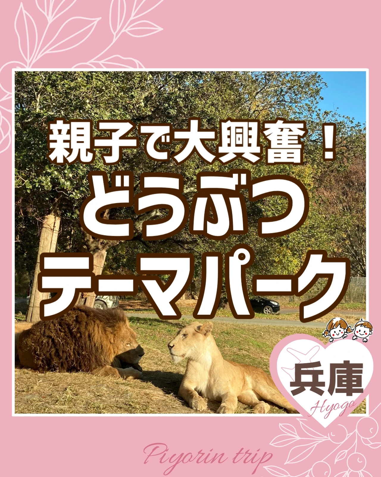 姫路セントラルパーク Lemon8 姫路セントラルパーク Lemon8