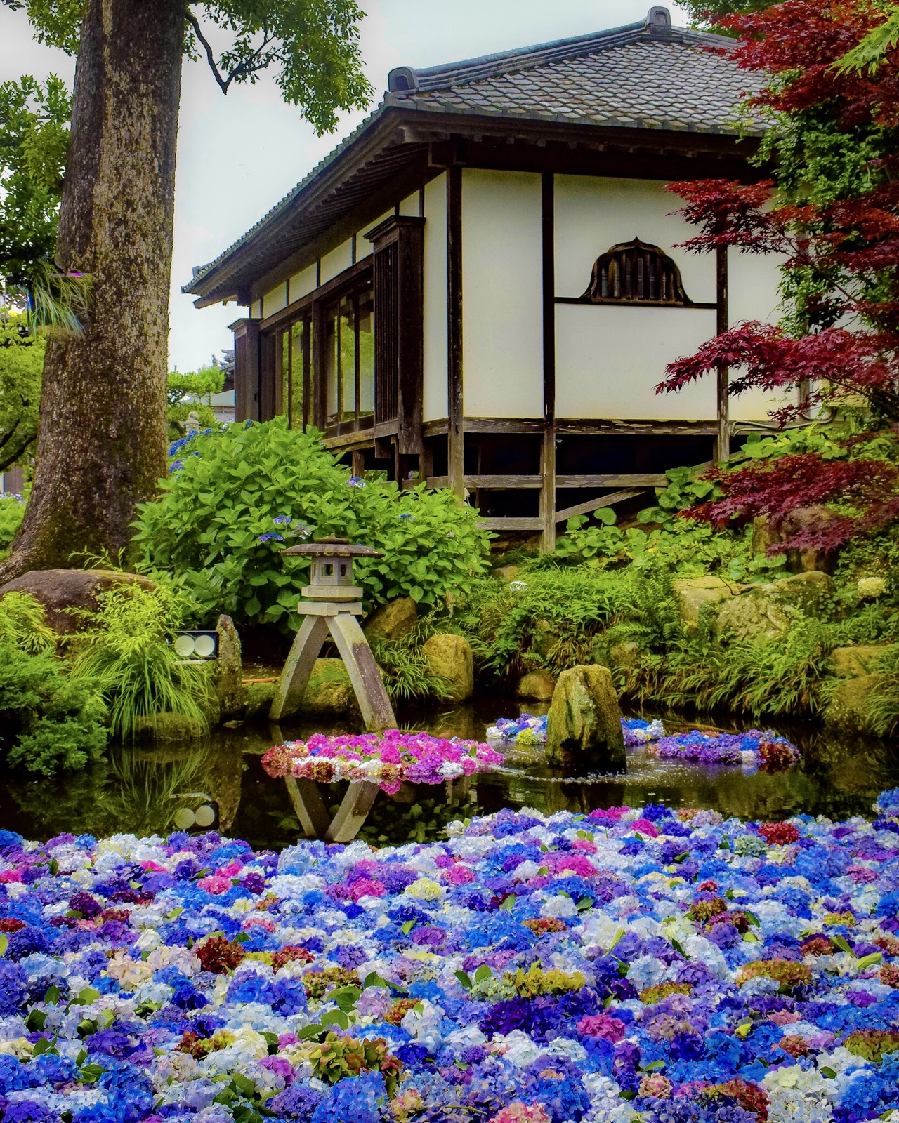 茨城県桜川市 紫陽花の水中花を見るならここ 雨引山楽法寺 雨引観音 Jptravelerspicが投稿したフォトブック Lemon8