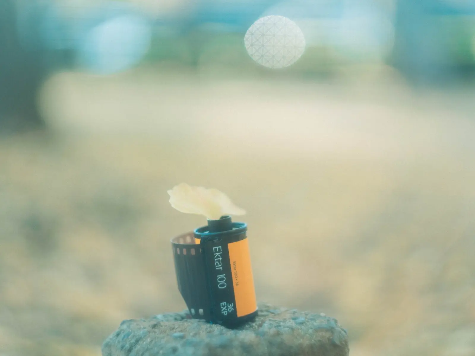 Lemon8 Story Kodak F9 Sample Photos