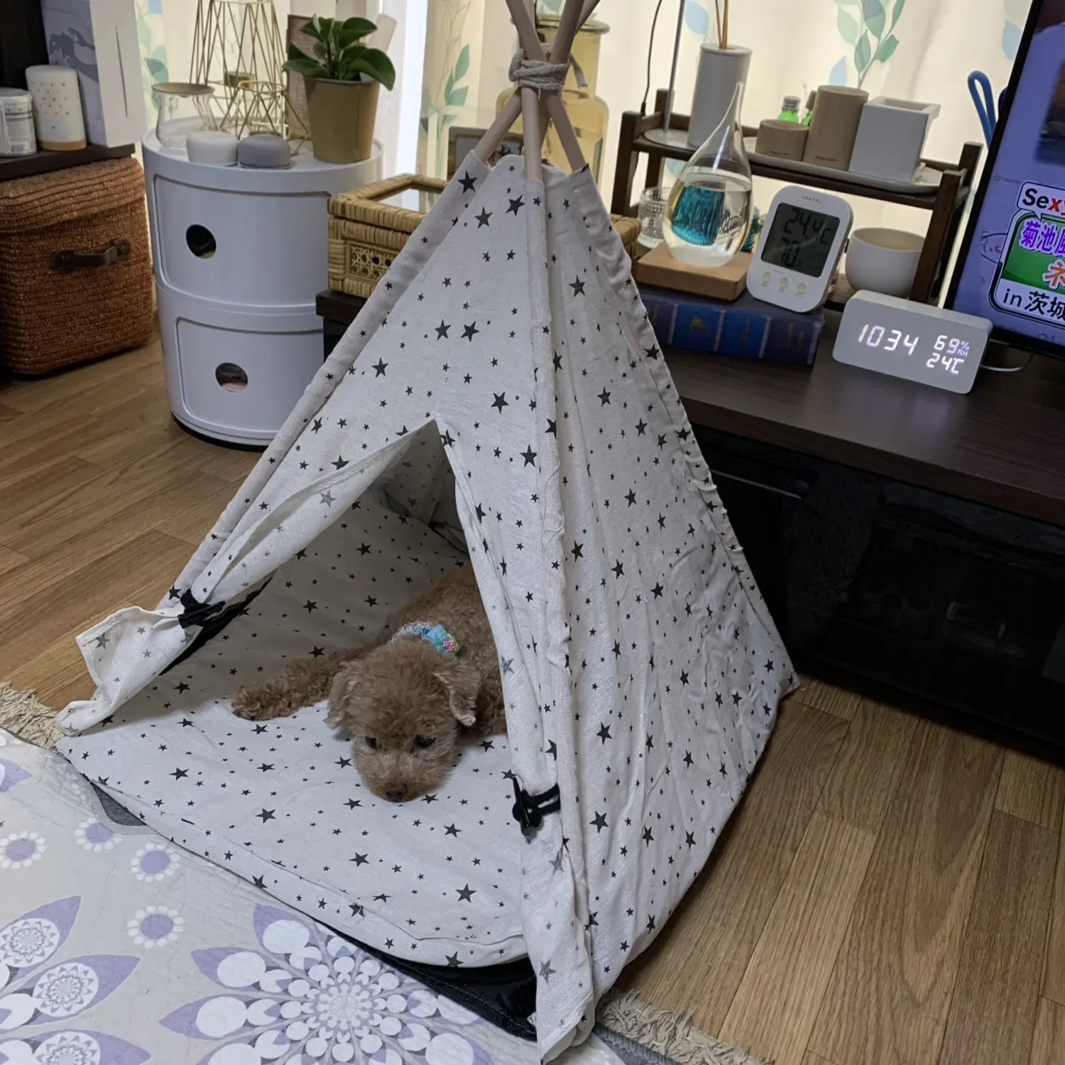 ダイソーで見つけたティピー型テント K M Itsukaが投稿したフォトブック Lemon8