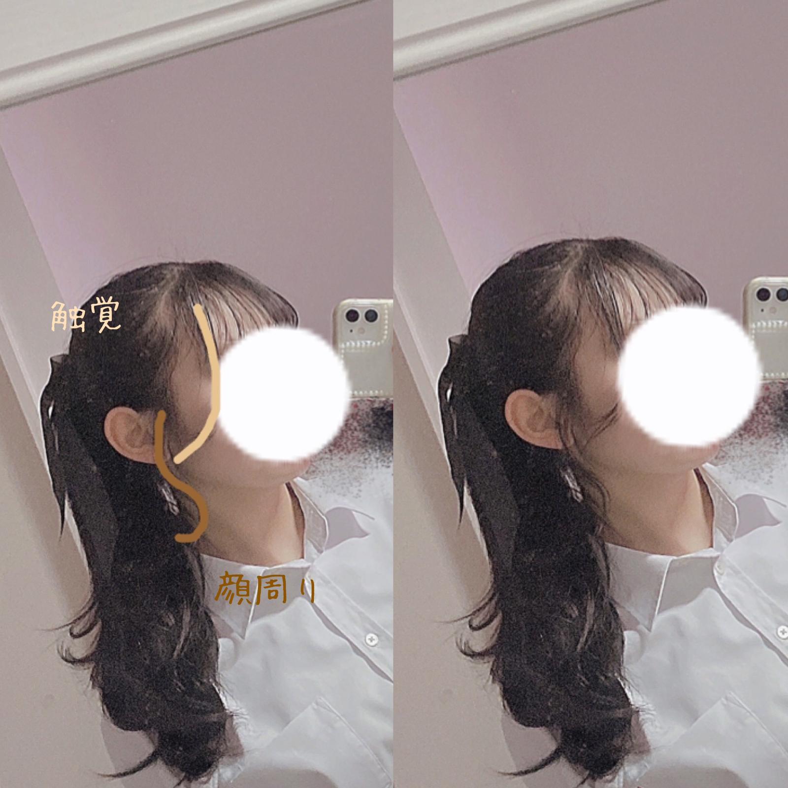 お嬢様風 ポニーテルヘアアレンジ 𝕒𝕚𝕣𝕚が投稿したフォトブック Lemon8