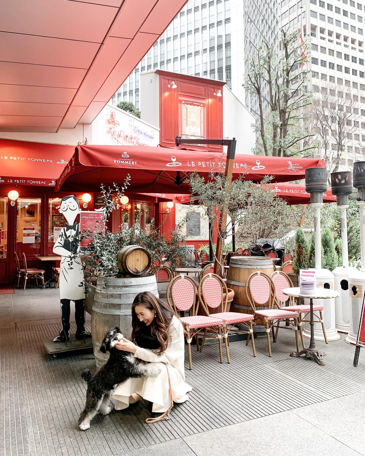 リアルわんわん物語 可愛いすぎるイタリアンレストラン Yumi Onedayが投稿したフォトブック Lemon8