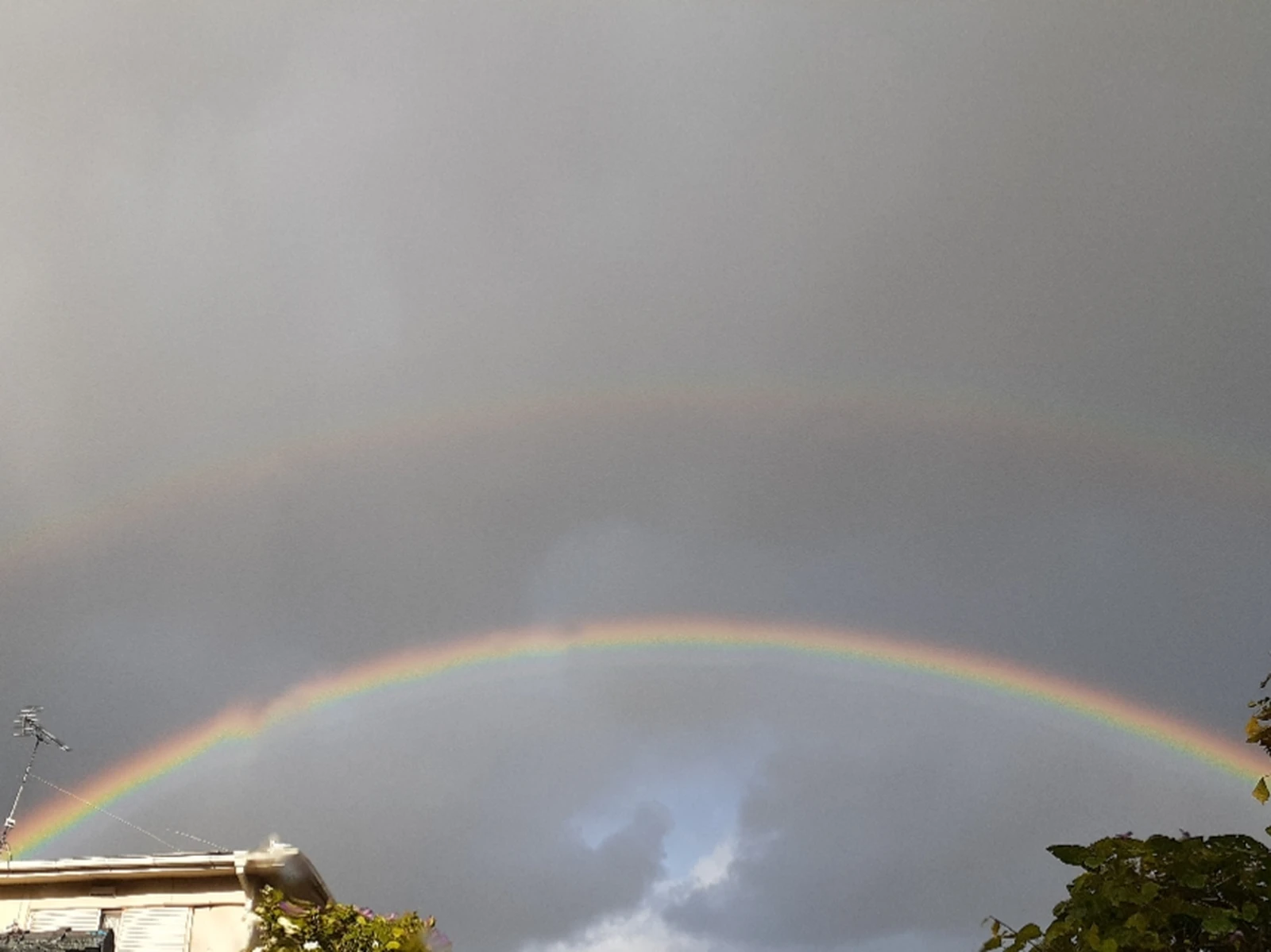 先日のダブルレインボー Risa67が投稿したフォトブック Lemon8